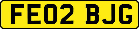 FE02BJG