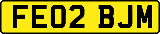 FE02BJM