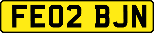 FE02BJN