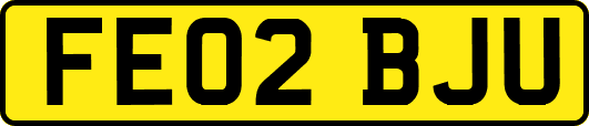 FE02BJU