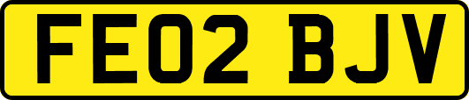 FE02BJV