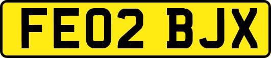 FE02BJX