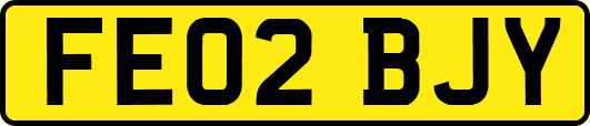 FE02BJY