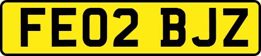 FE02BJZ