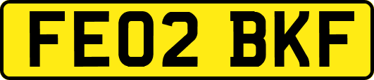 FE02BKF