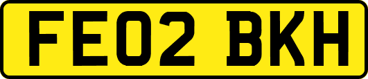 FE02BKH