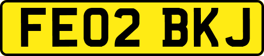 FE02BKJ