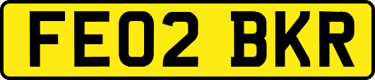 FE02BKR