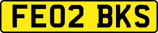 FE02BKS