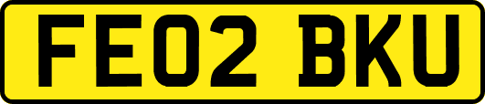 FE02BKU