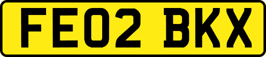 FE02BKX