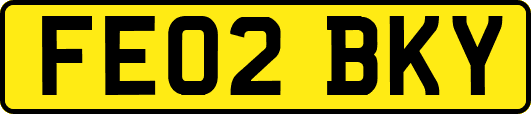 FE02BKY