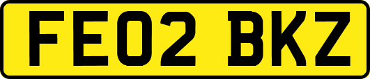 FE02BKZ
