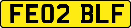 FE02BLF
