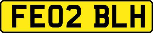 FE02BLH