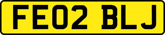 FE02BLJ