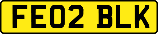 FE02BLK