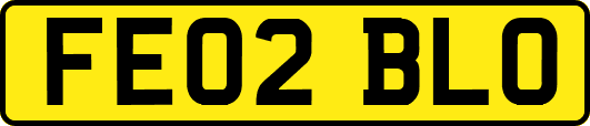 FE02BLO