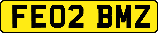 FE02BMZ