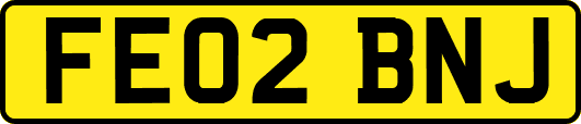 FE02BNJ