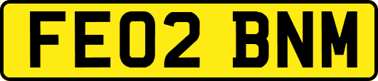 FE02BNM