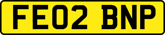 FE02BNP