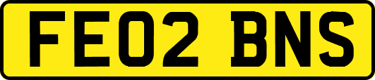 FE02BNS