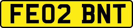 FE02BNT