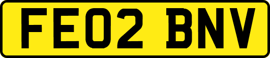 FE02BNV
