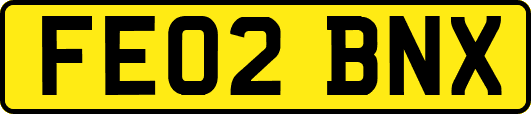 FE02BNX