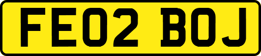 FE02BOJ