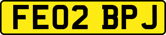 FE02BPJ
