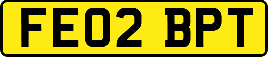 FE02BPT