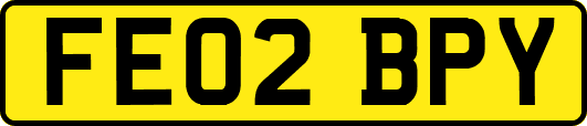 FE02BPY