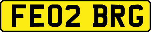 FE02BRG