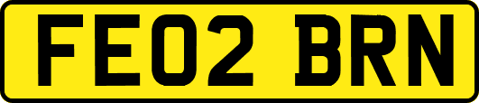 FE02BRN