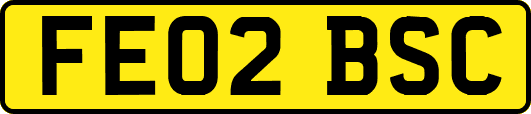 FE02BSC