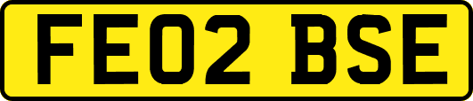 FE02BSE