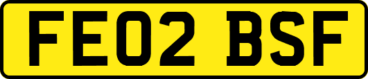 FE02BSF
