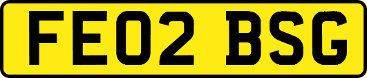 FE02BSG