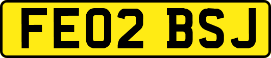 FE02BSJ