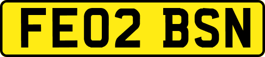 FE02BSN