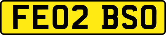 FE02BSO