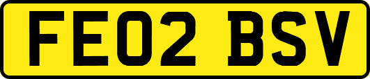 FE02BSV