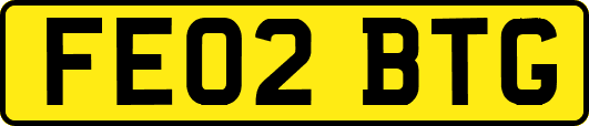 FE02BTG
