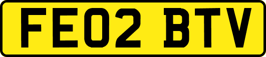 FE02BTV