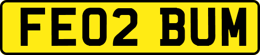 FE02BUM