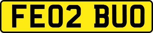 FE02BUO