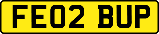 FE02BUP