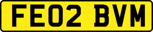 FE02BVM
